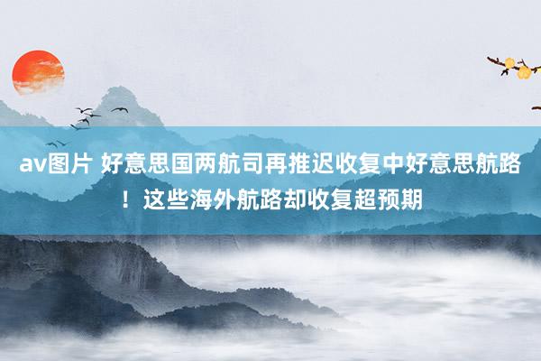 av图片 好意思国两航司再推迟收复中好意思航路！这些海外航路却收复超预期