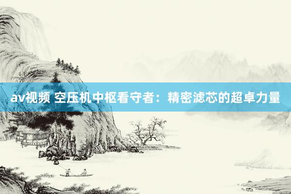 av视频 空压机中枢看守者：精密滤芯的超卓力量