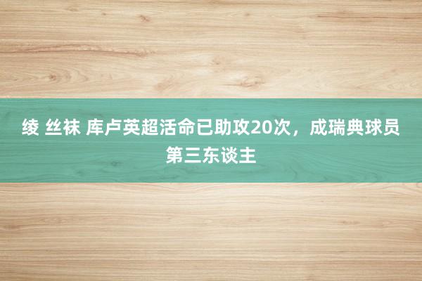 绫 丝袜 库卢英超活命已助攻20次，成瑞典球员第三东谈主