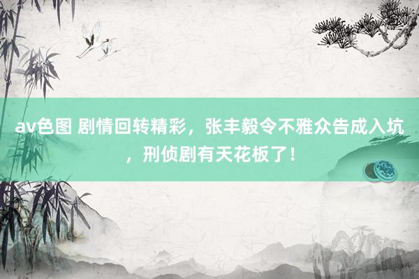 av色图 剧情回转精彩，张丰毅令不雅众告成入坑，刑侦剧有天花板了！