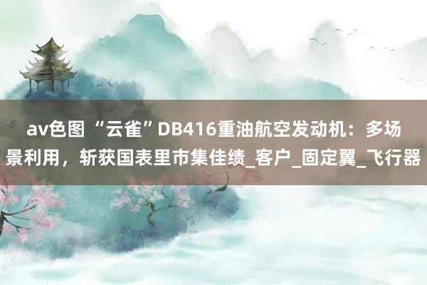 av色图 “云雀”DB416重油航空发动机：多场景利用，斩获国表里市集佳绩_客户_固定翼_飞行器