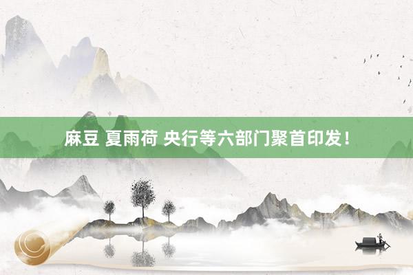 麻豆 夏雨荷 央行等六部门聚首印发！