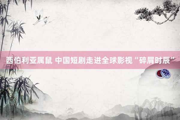 西伯利亚属鼠 中国短剧走进全球影视“碎屑时辰”