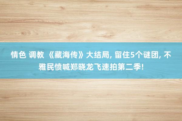 情色 调教 《藏海传》大结局， 留住5个谜团， 不雅民愤喊郑晓龙飞速拍第二季!
